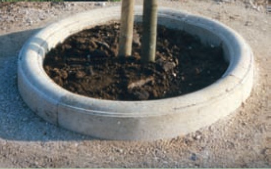 Entourage d'arbre béton Cyprès